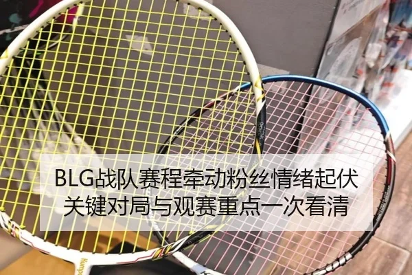 BLG战队赛程牵动粉丝情绪起伏 关键对局与观赛重点一次看清 | wanmeizhenren