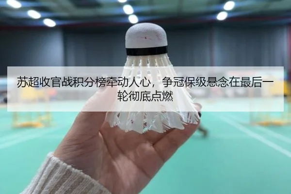 苏超收官战积分榜牵动人心，争冠保级悬念在最后一轮彻底点燃